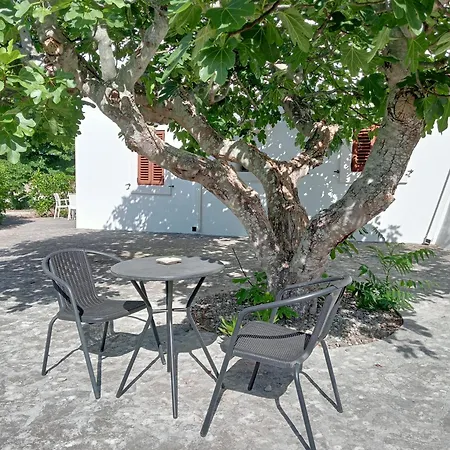 B&B Villa Rosanna-2
